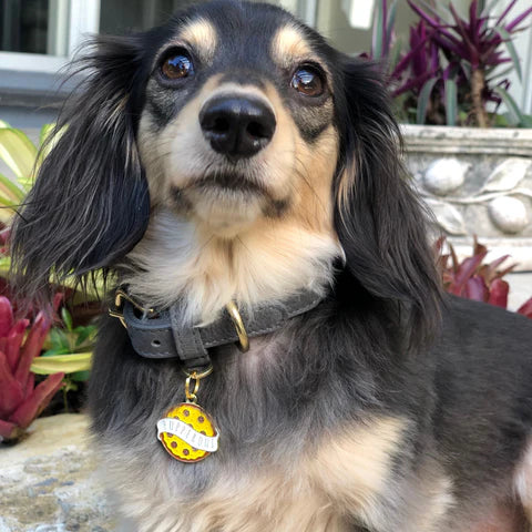 Pet ID Tag - Pupperoni Pizza