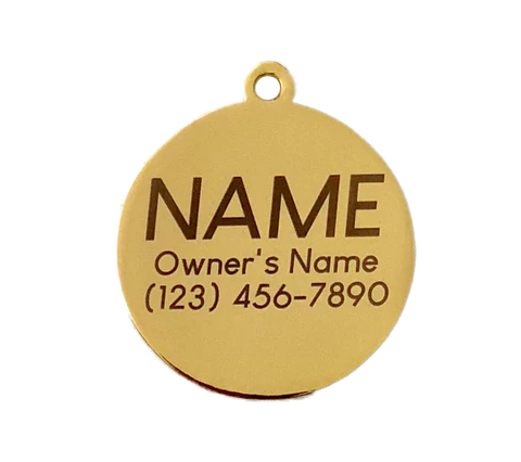 Pet ID Tag - Bow