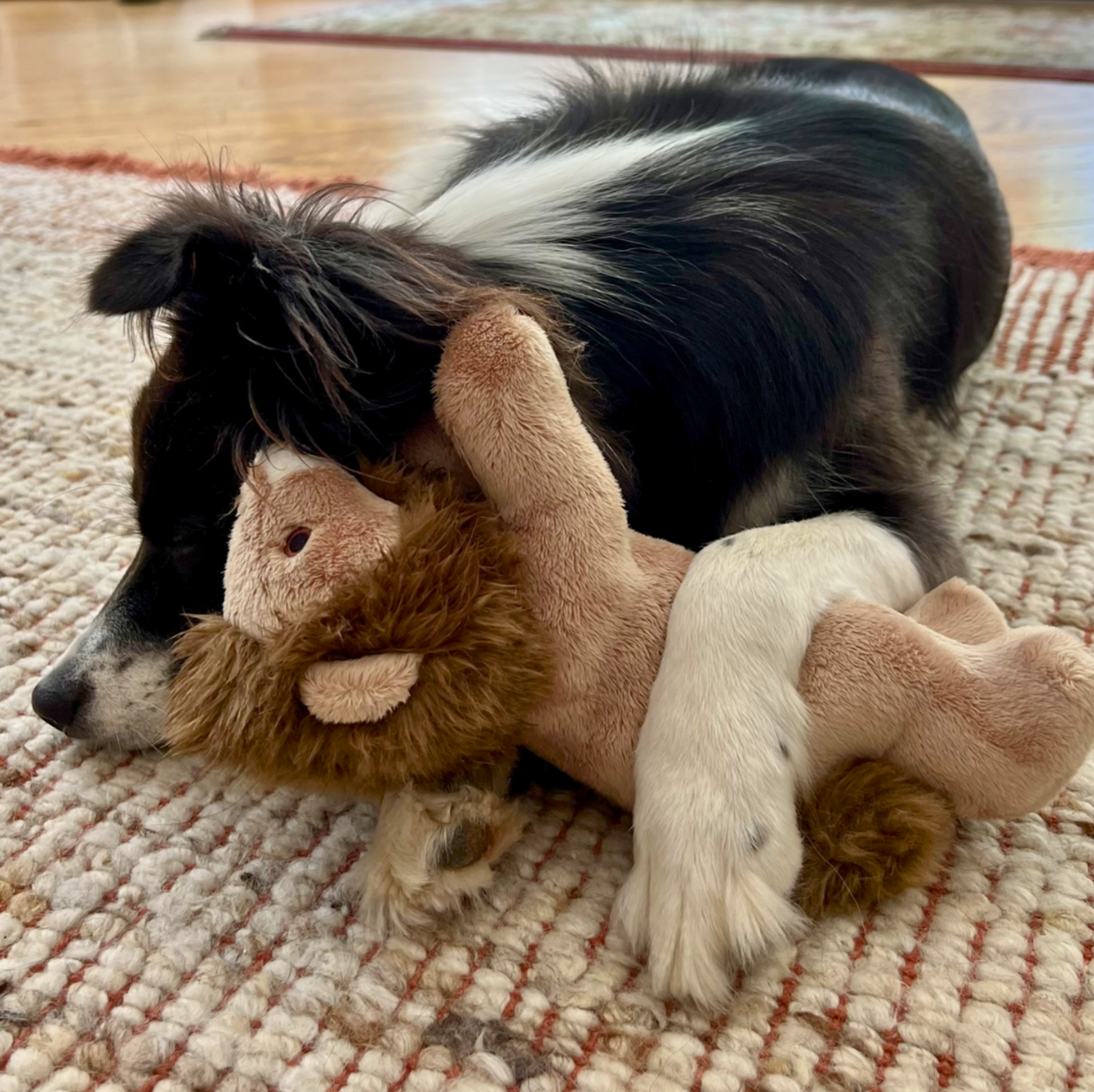 FLUFF & TUFF - Leo the Lion