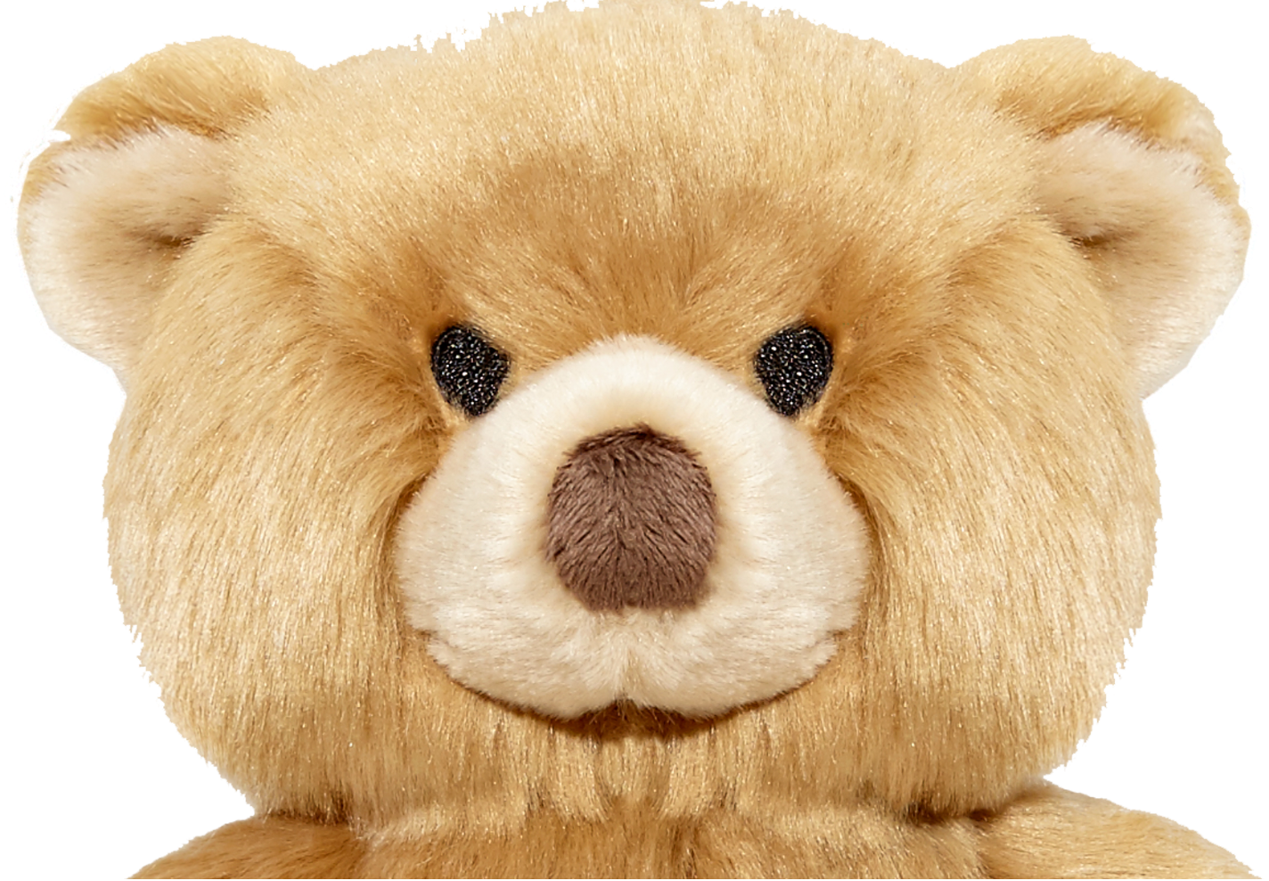 FLUFF & TUFF - Mr. Honey Bear