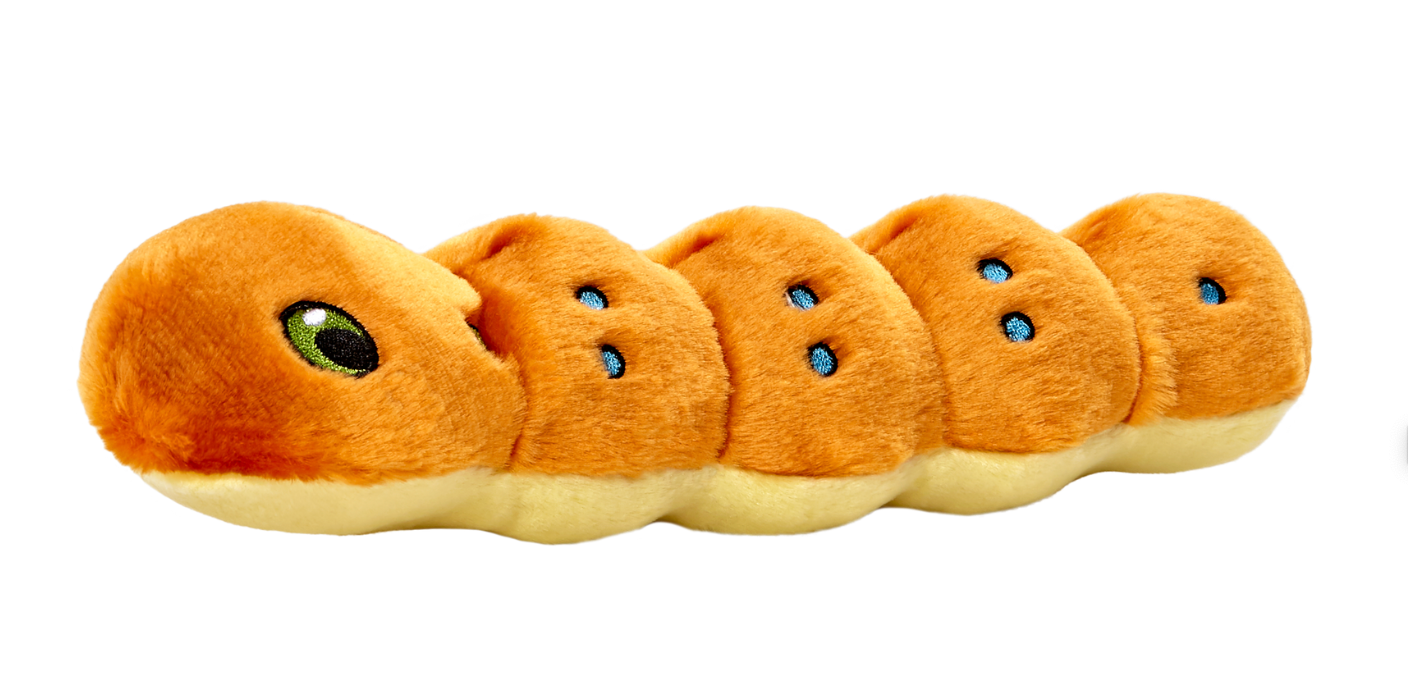 FLUFF & TUFF - Spicy the Caterpillar