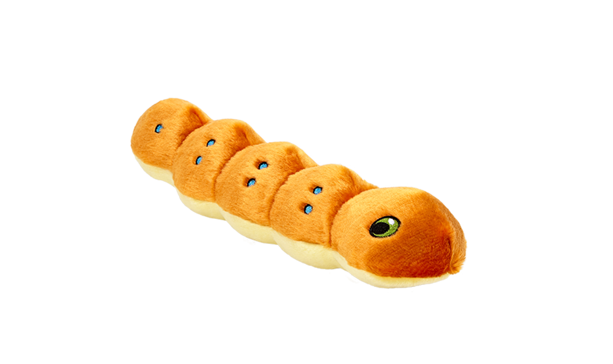 FLUFF & TUFF - Spicy the Caterpillar