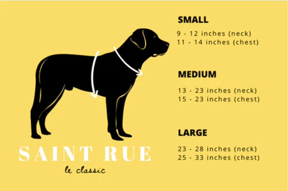 SAINT RUE - Rue de Rivoli Harness & Leash Set