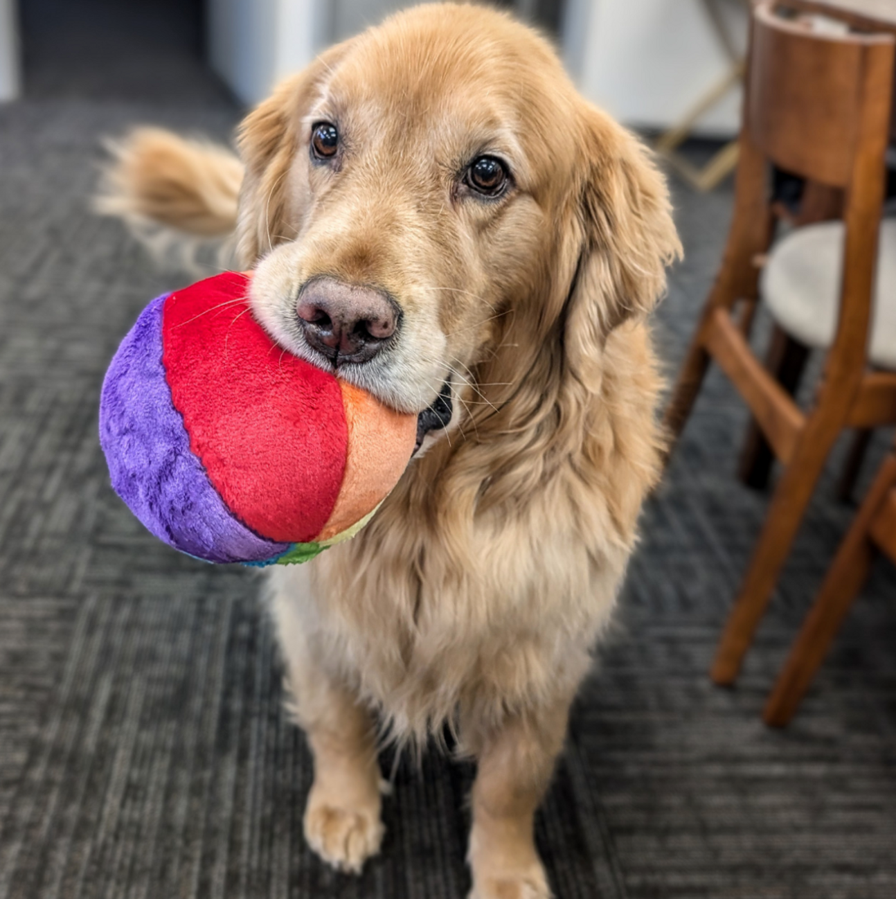 FLUFF & TUFF - Mini Beach Ball