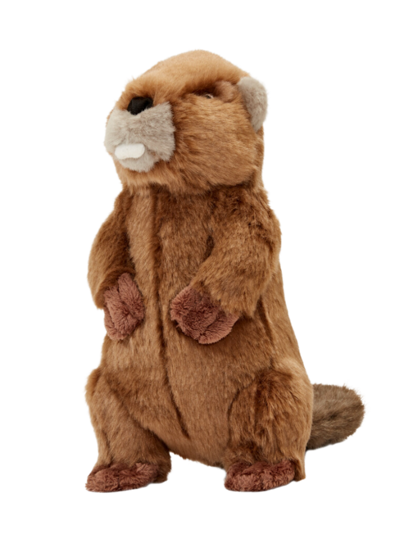 FLUFF & TUFF - Troy the Beaver