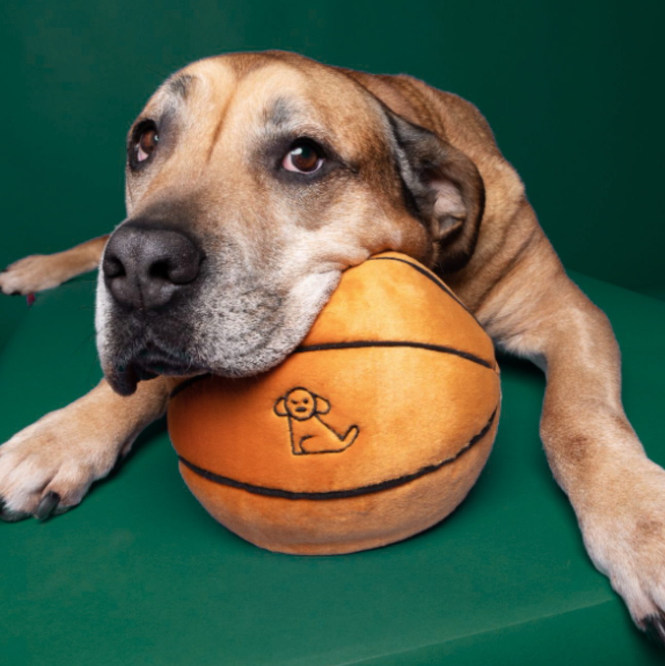 FLUFF & TUFF - Basketball