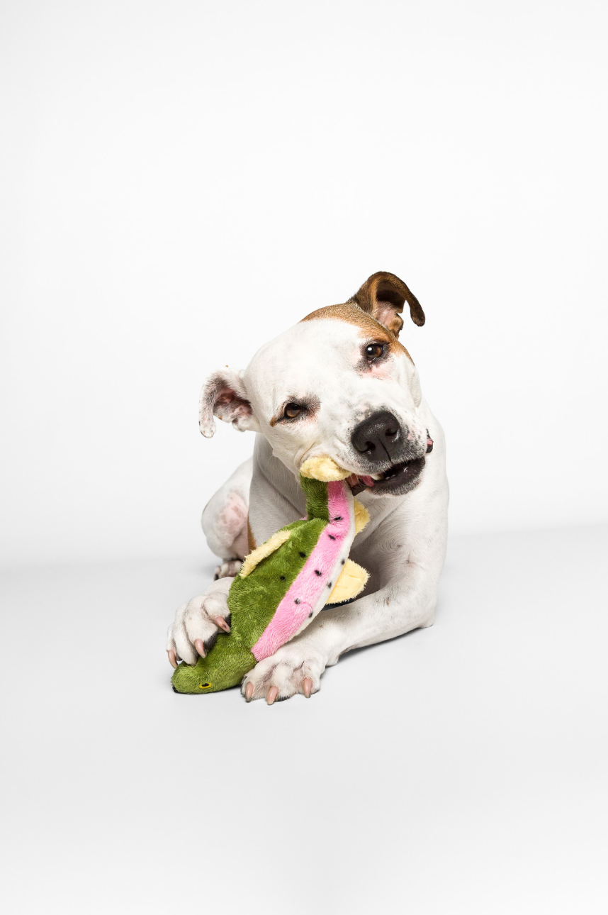 FLUFF & TUFF - Burt the Lake Trout