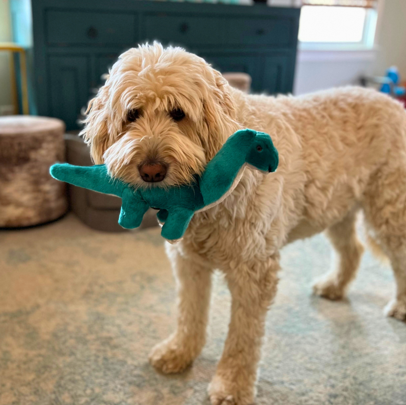 FLUFF & TUFF - Ross the Brachiosaurus