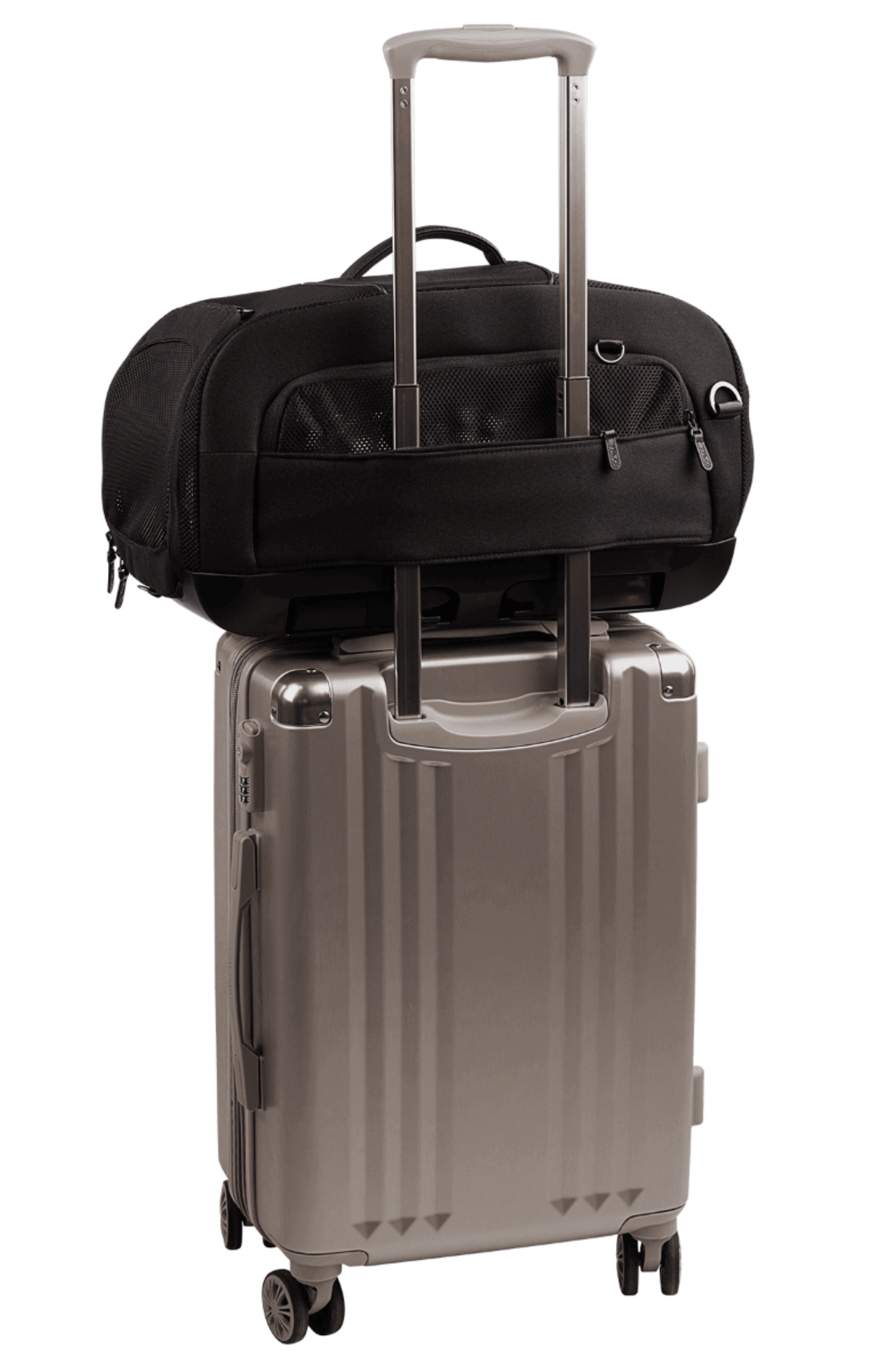 TAVO - Dupree + Roscoe Pet Travel System