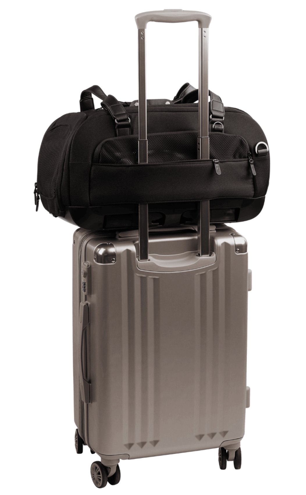 TAVO - Dupree + Roscoe Pet Travel System