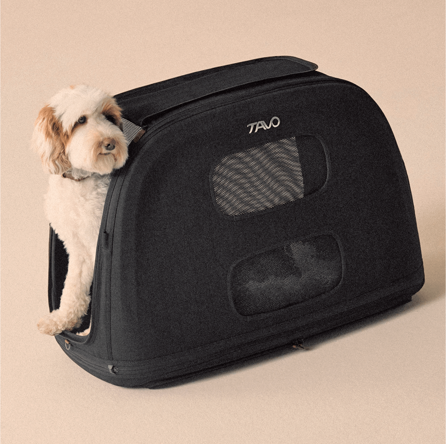 TAVO - Crispin Crash-Tested Pet Travel Crate