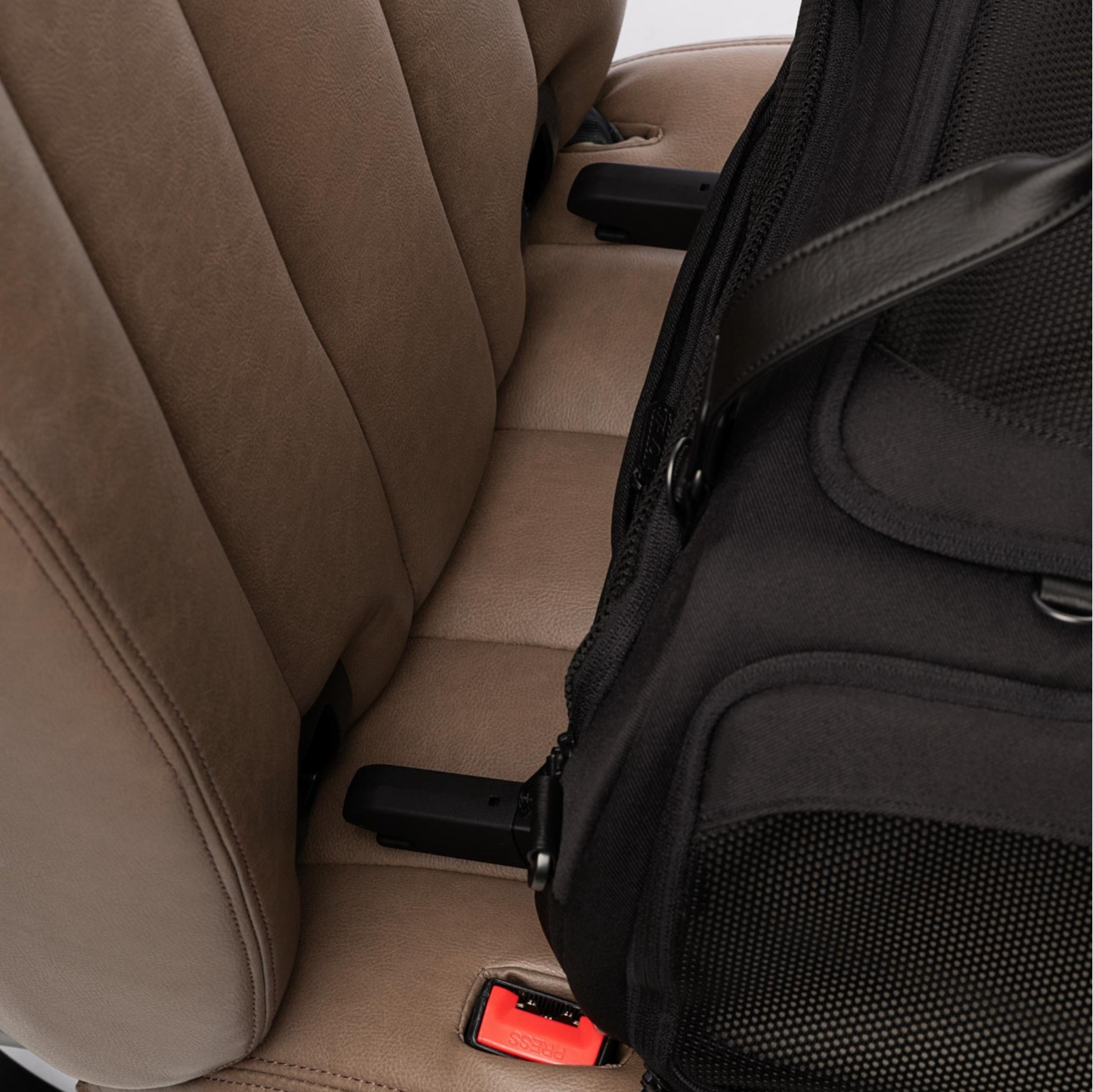 TAVO - Dupree + Roscoe Pet Travel System