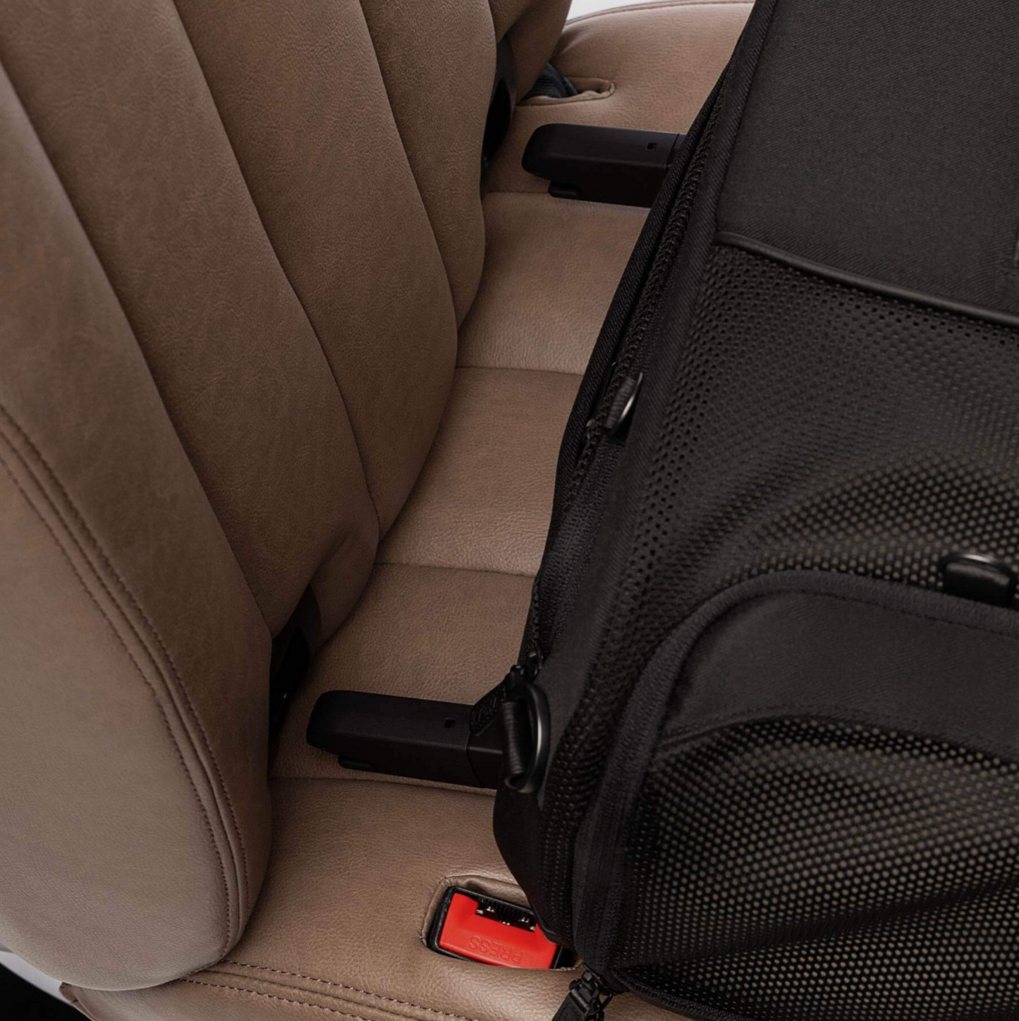 TAVO - Dupree + Roscoe Pet Travel System