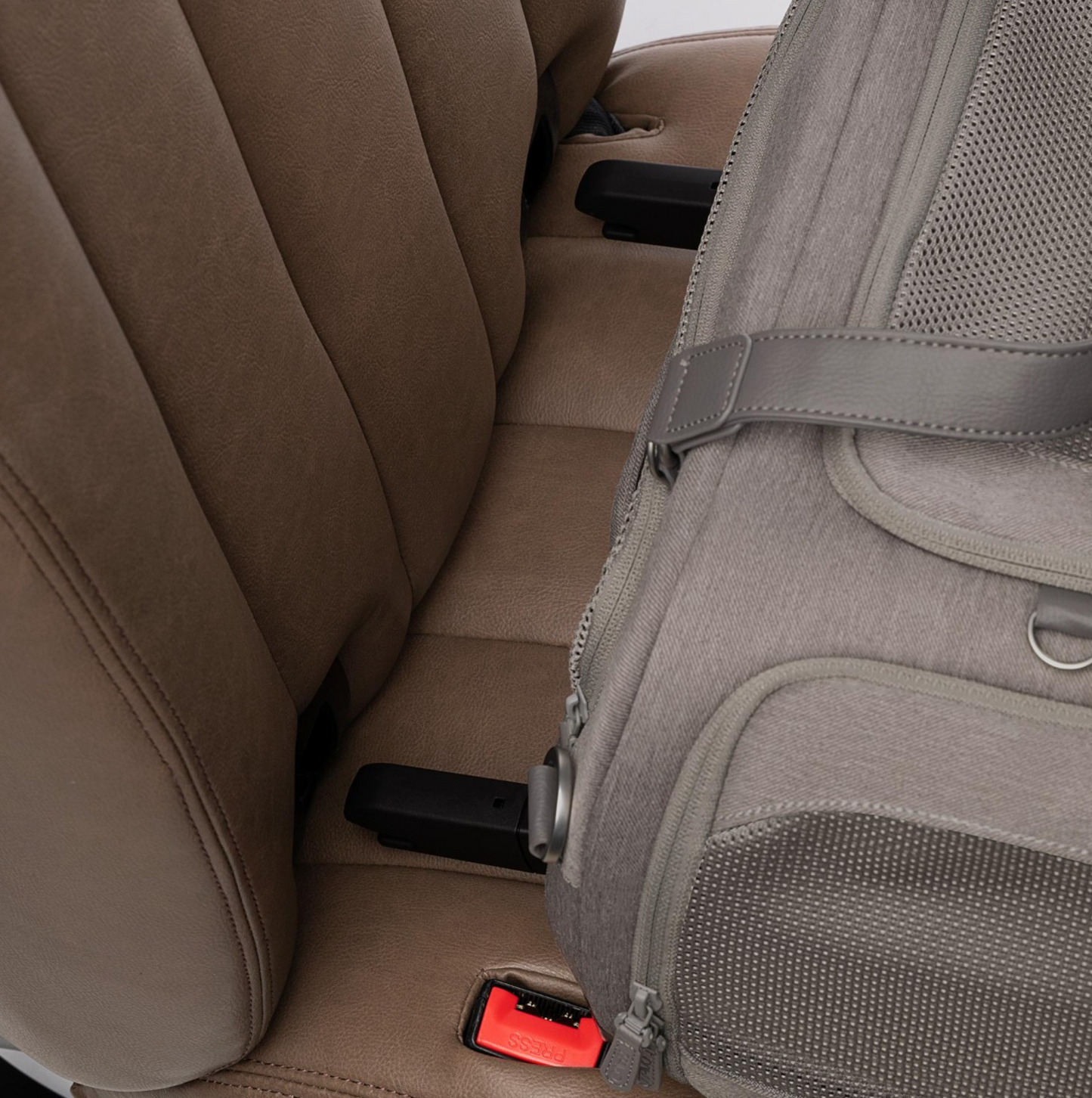 TAVO - Dupree + Roscoe Pet Travel System