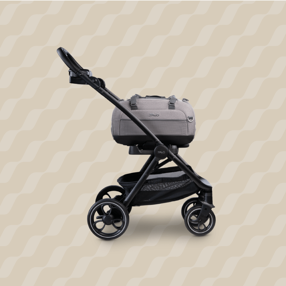TAVO - Dupree + Roscoe Pet Travel System