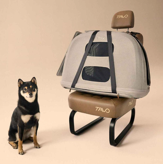 TAVO - Crispin Crash-Tested Pet Travel Crate