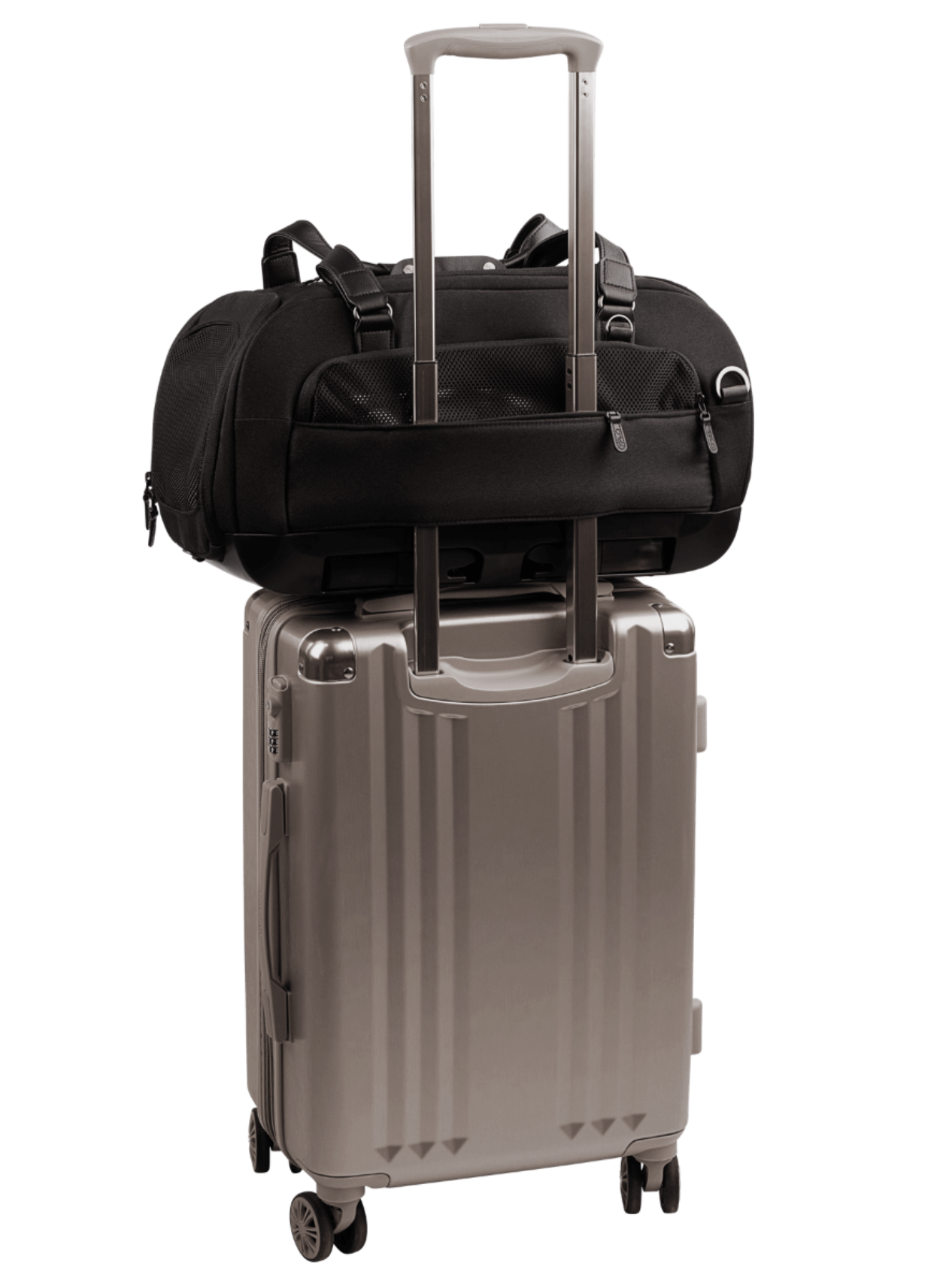 Tavo - Dupree Carry On Pet Carrier & Car Seat