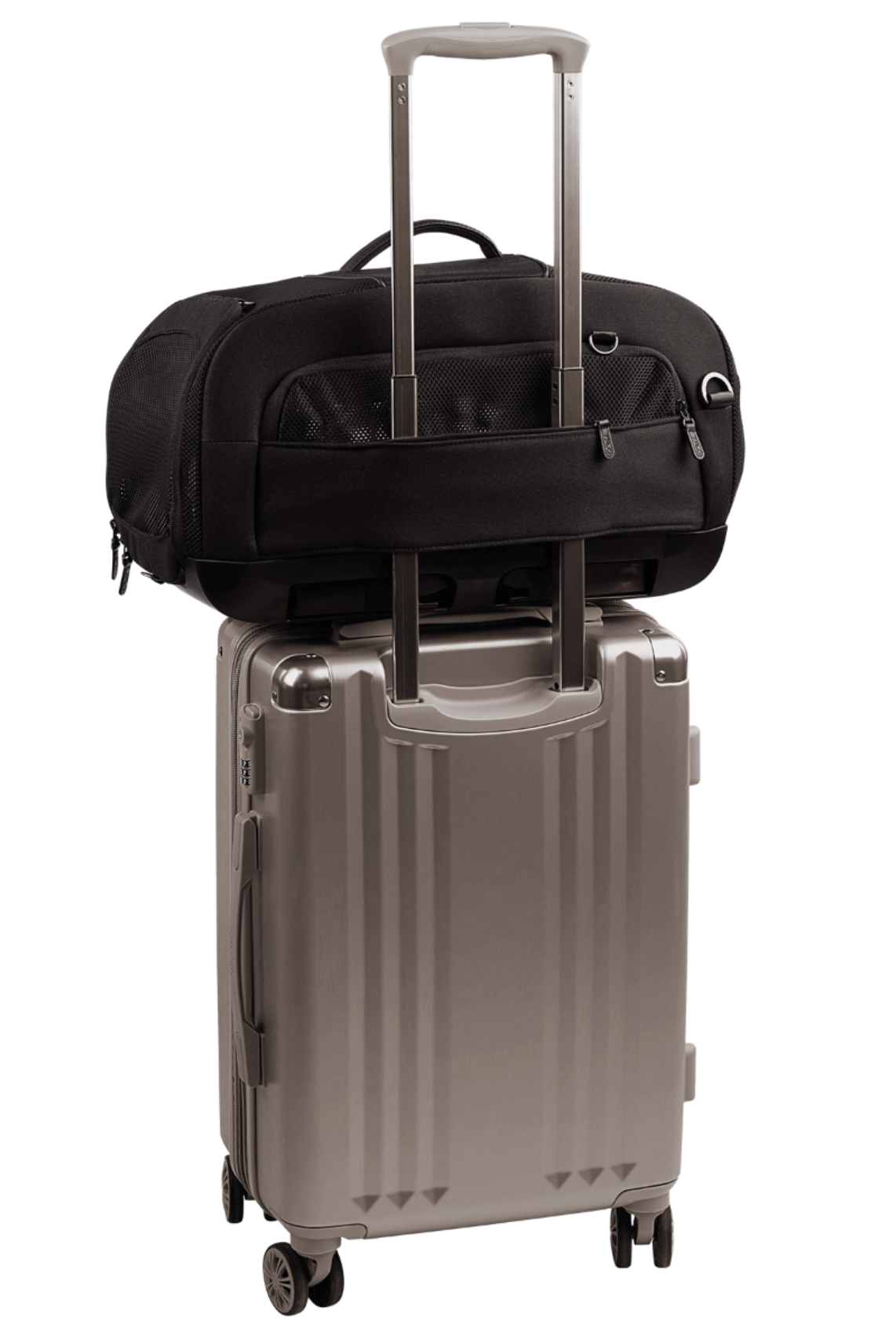 Tavo - Dupree Carry On Pet Carrier & Car Seat