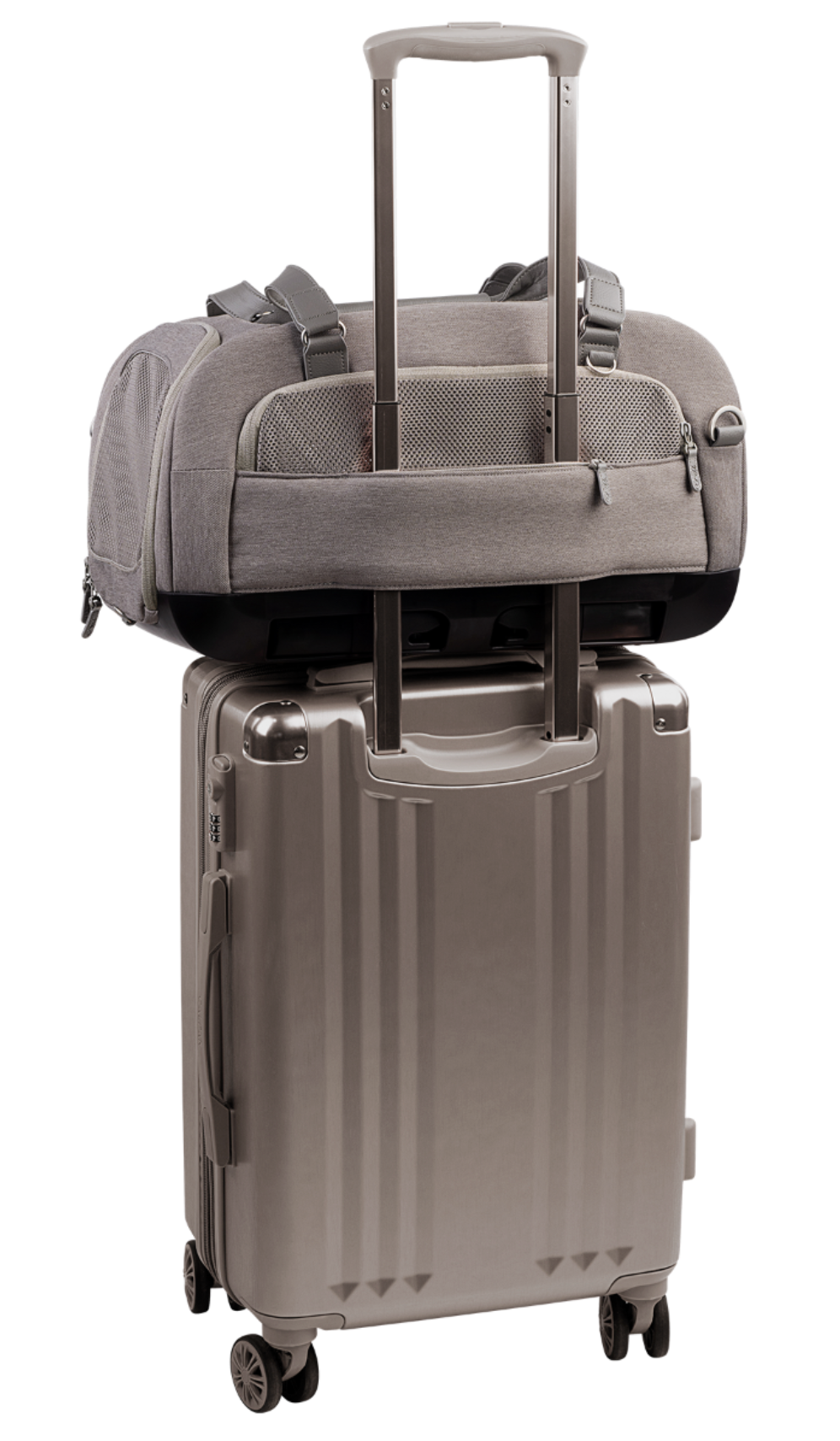 Tavo - Dupree Carry On Pet Carrier & Car Seat