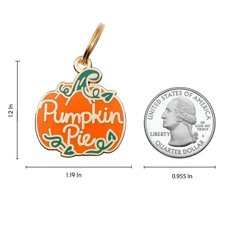 Pet ID Tag - Pumpkin Pie