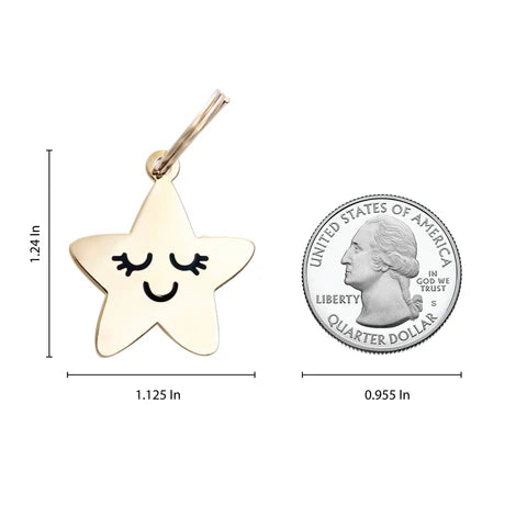Pet ID Tag - Smiling Star