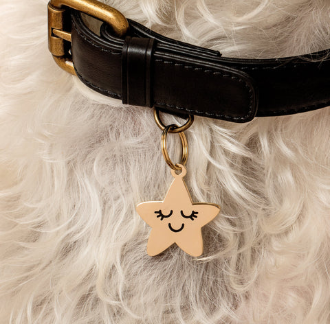 Pet ID Tag - Smiling Star