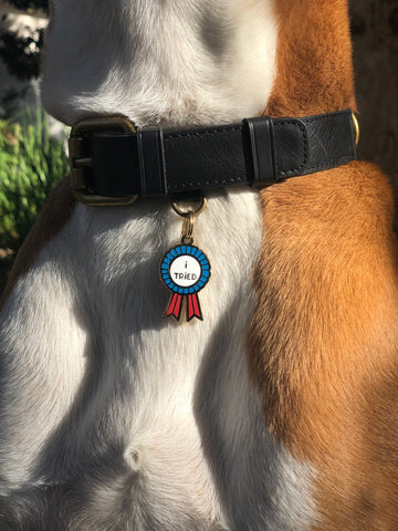 Pet ID Tag - I tried