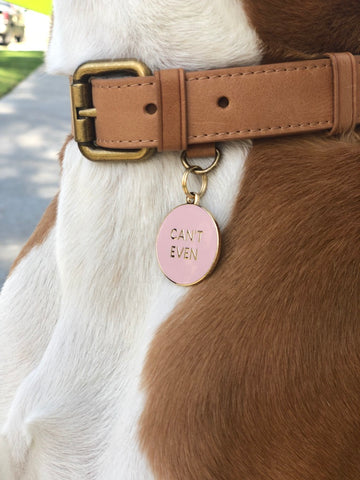 Pet ID Tag - Can't Even