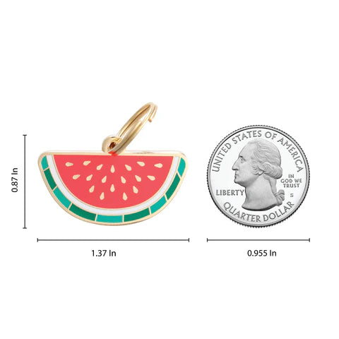 Pet ID Tag - Watermelon
