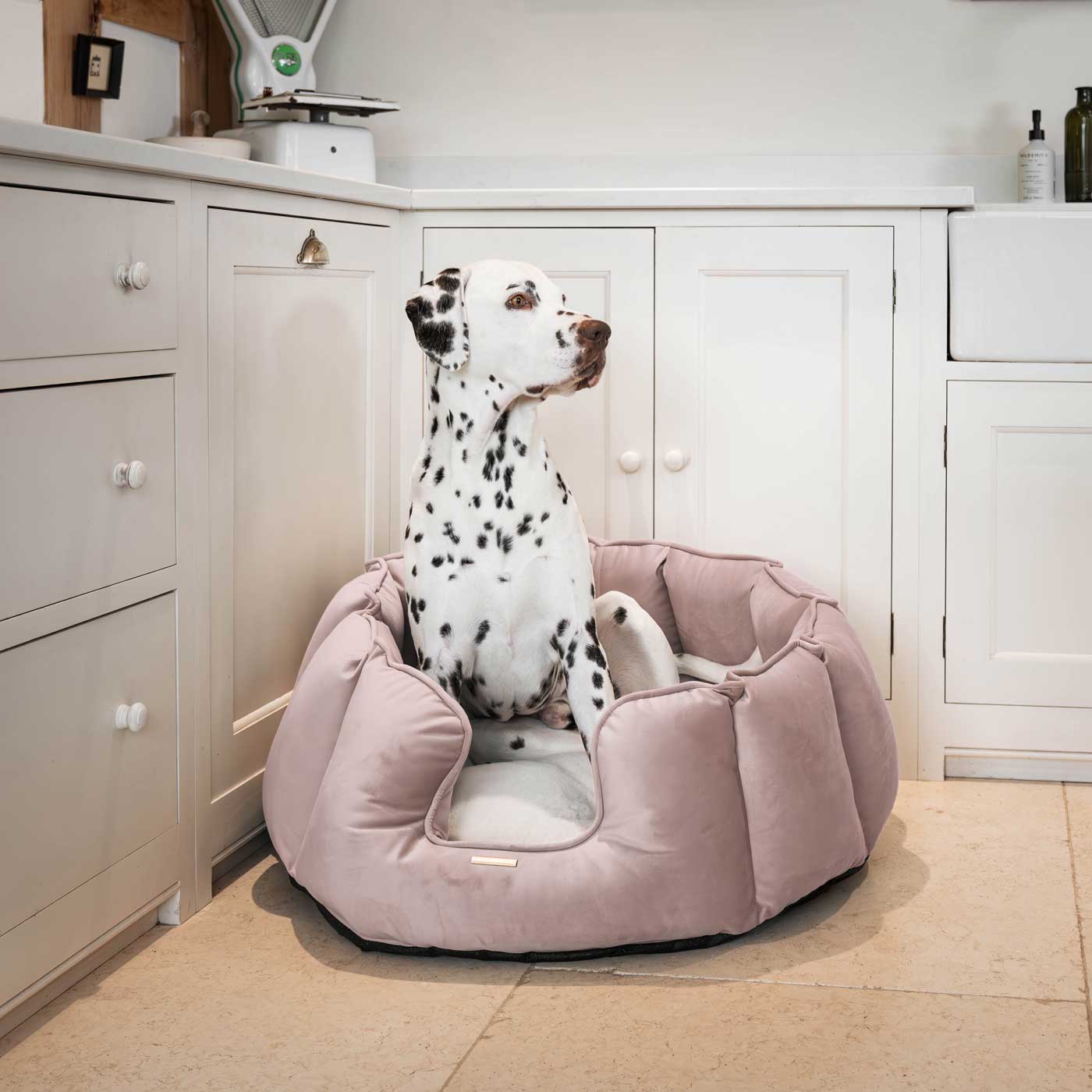 High Wall Bed For Dogs in Blossom Velvet