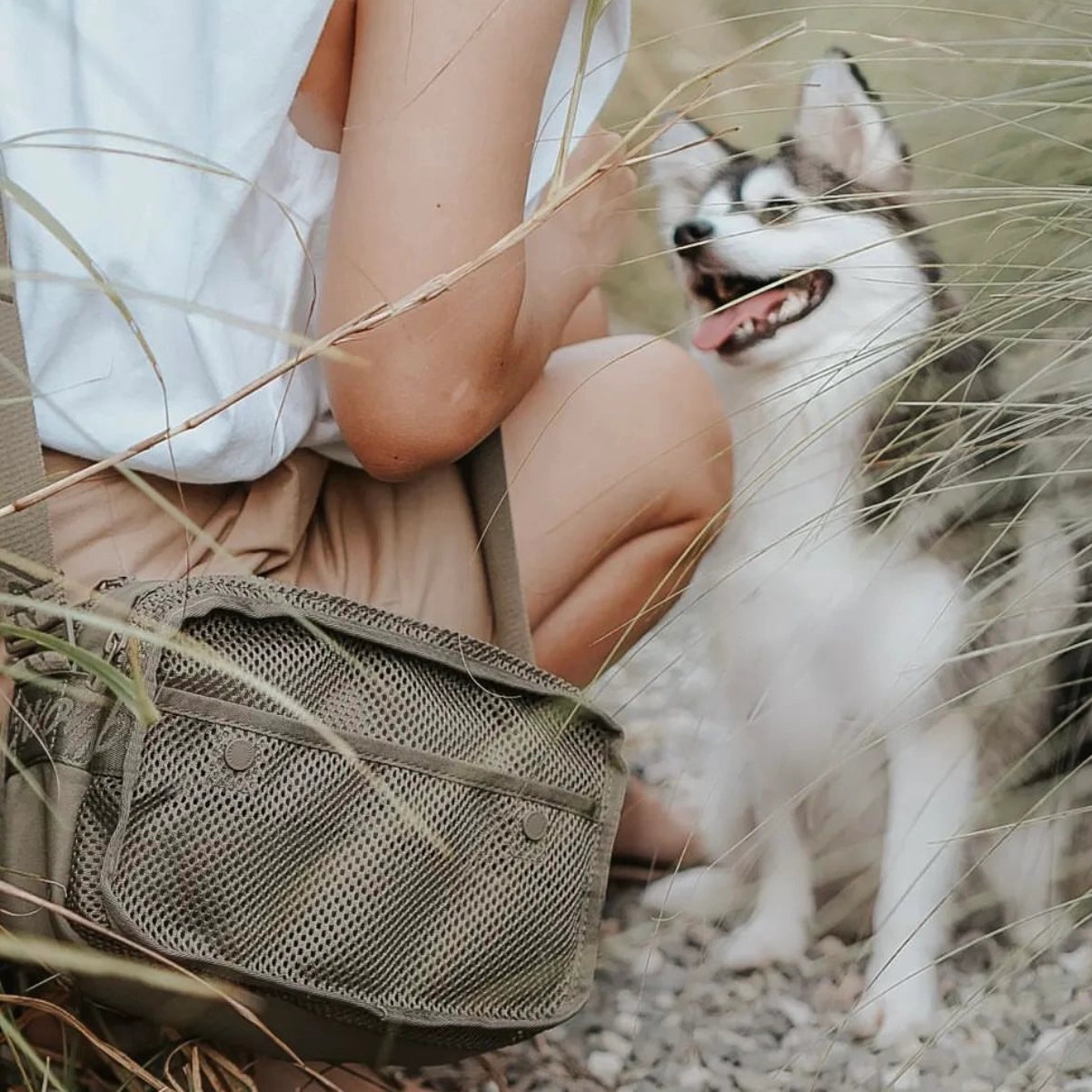 LAMBWOLF - Forager Dog Walking Bag with Built-in Poop Bag Dispenser