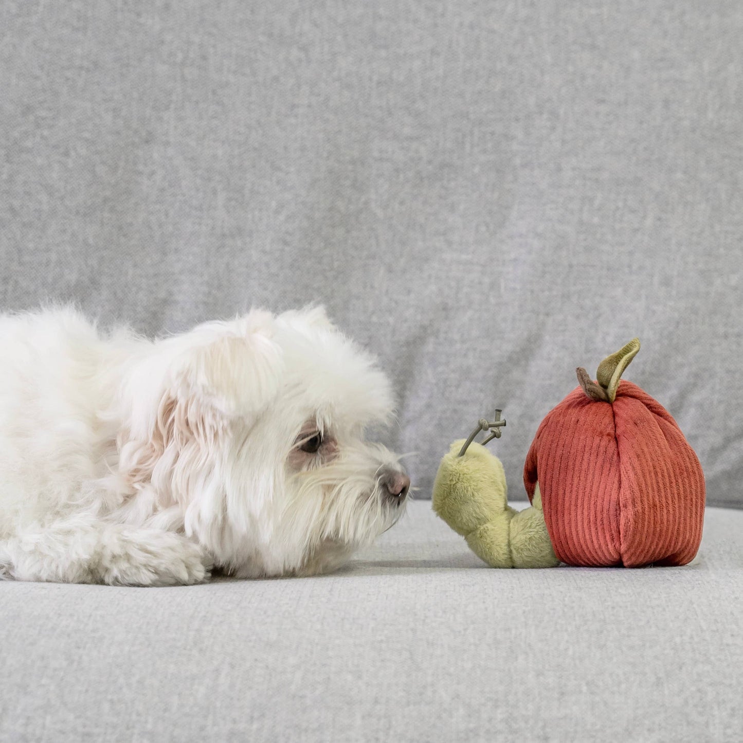 LAMBWOLF - FRUIT ENRICHMENT TOY SET & SNUFFLE TOY