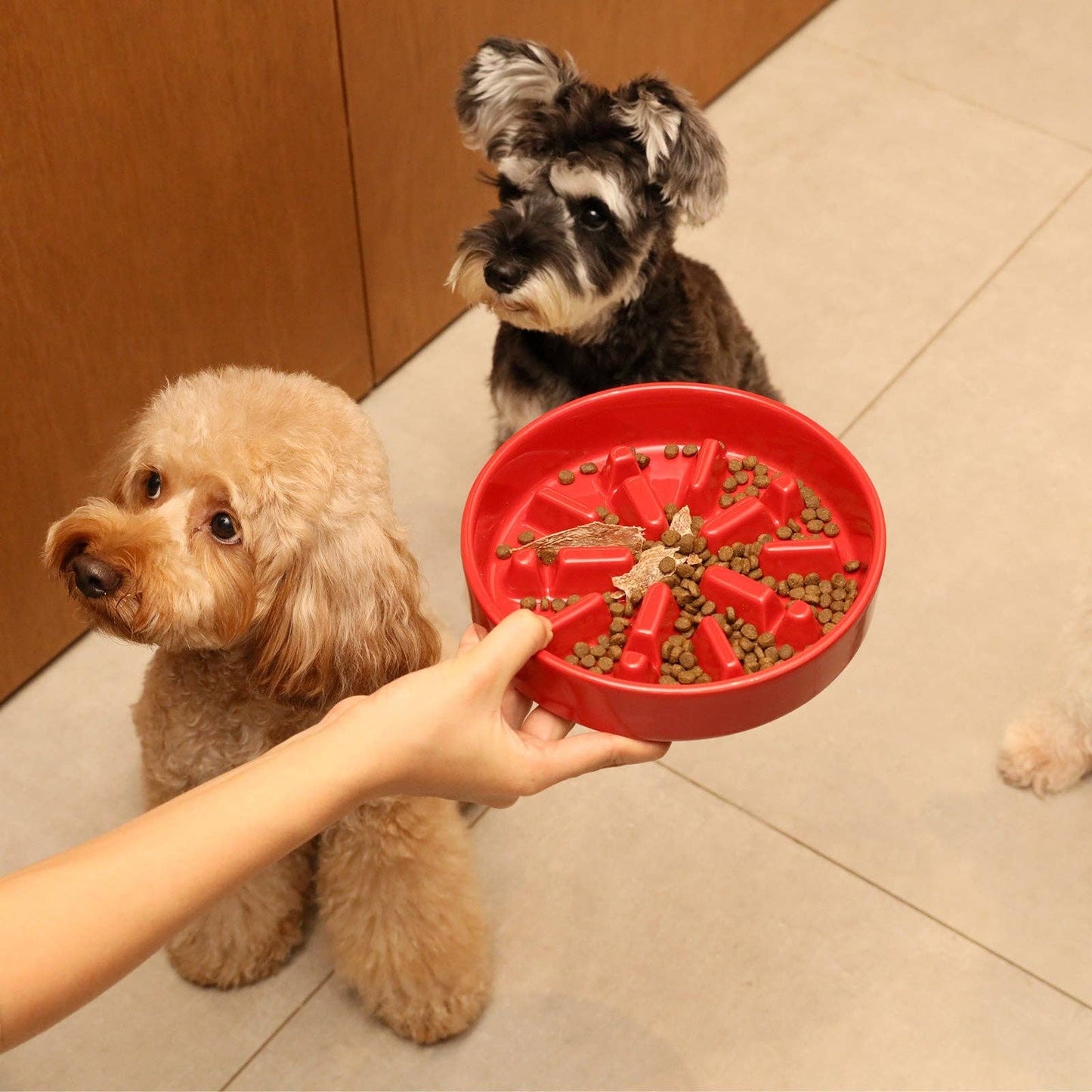 Spark Ceramic Slow Feeder Dog Bowls - Red