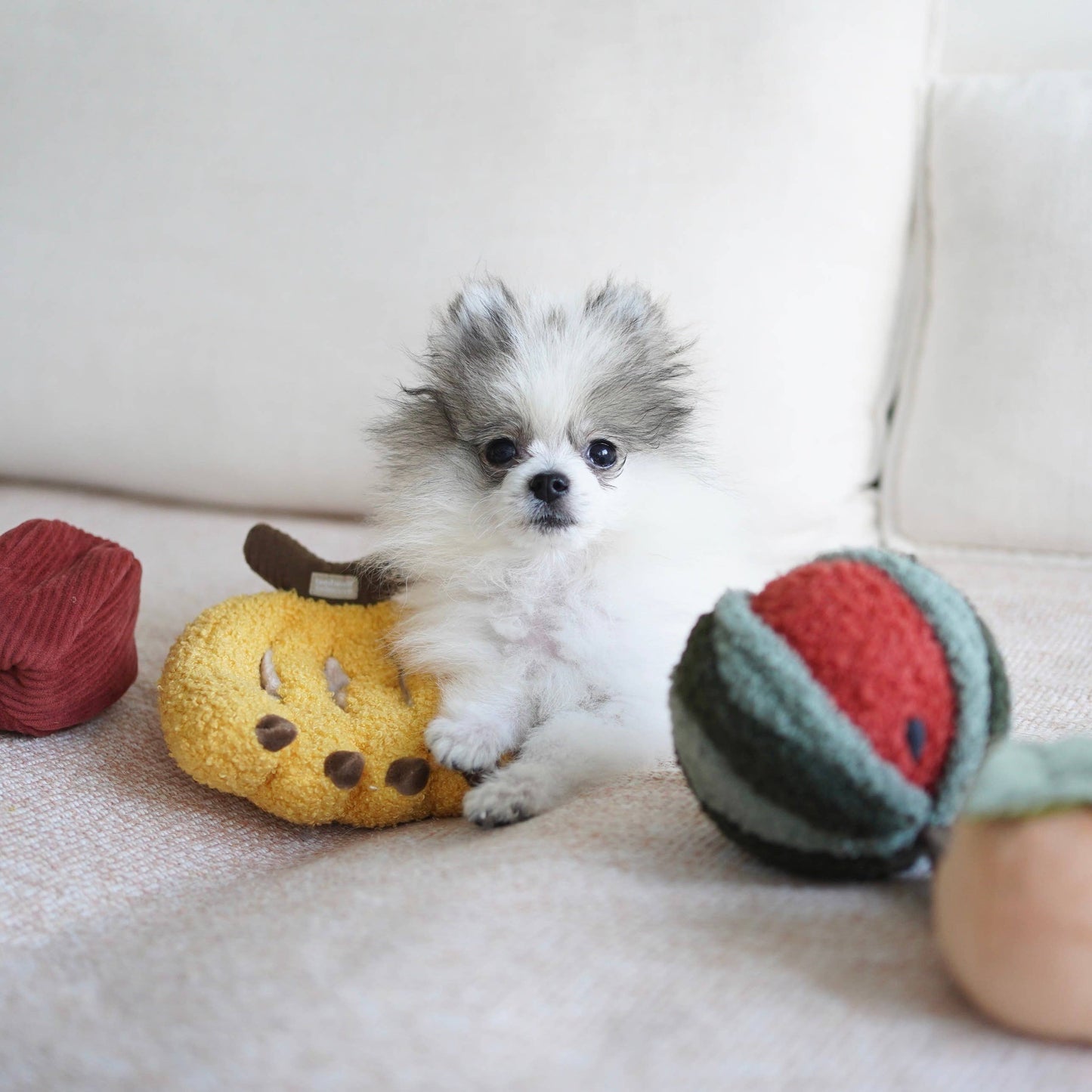 LAMBWOLF - FRUIT ENRICHMENT TOY SET & SNUFFLE TOY