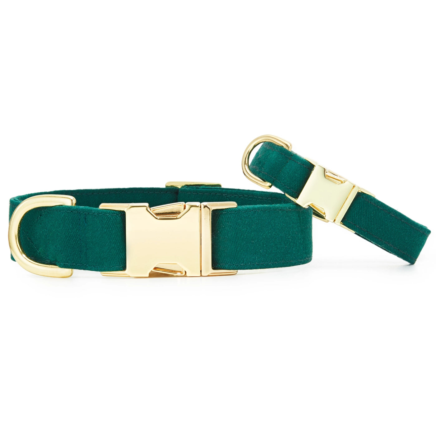 THE FOGGY DOG - Evergreen Dog Collar