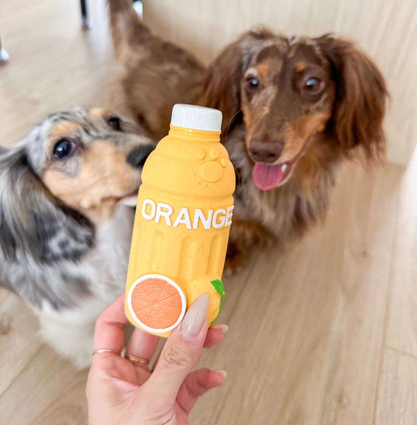Trio of Squeaker Toys - Squeaky Sips