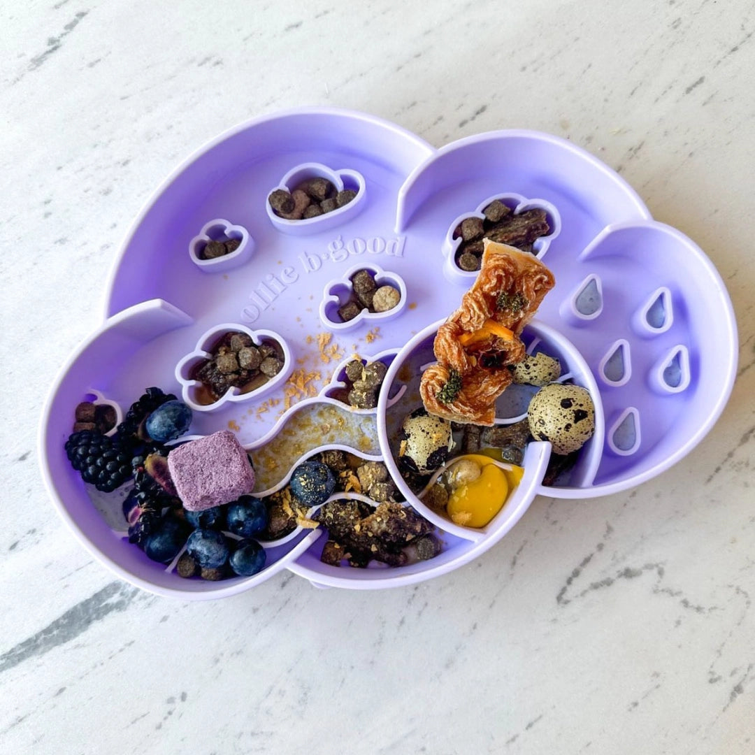 Cloud Slow Feeder Bowl - Viola
