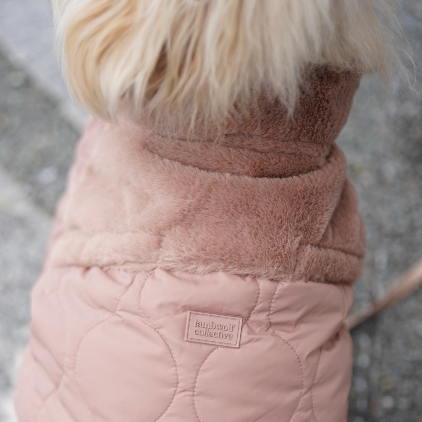 LAMBWOLF - Soho Dog Jacket