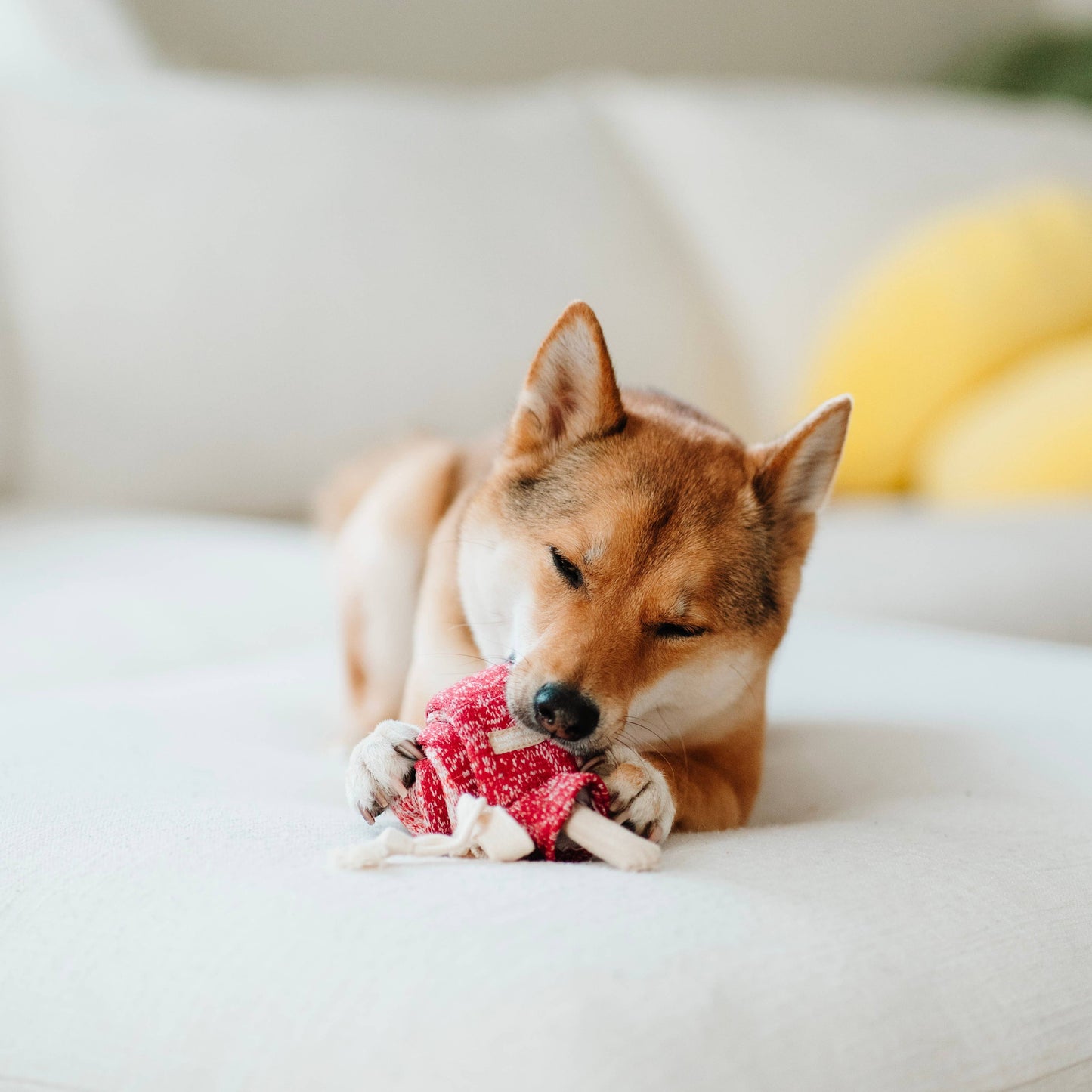 LAMBWOLF - LOLLIPOP ENRICHMENT DOG TOY