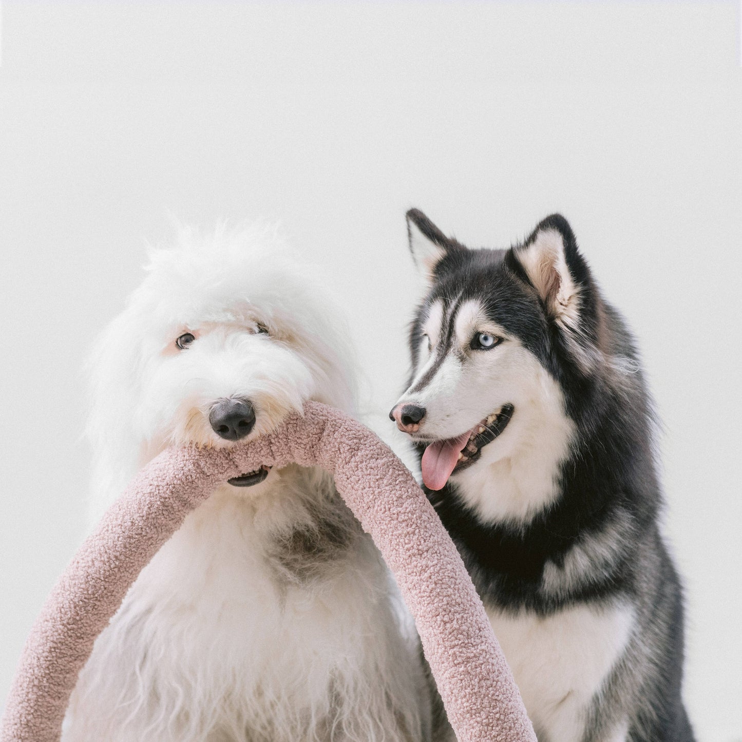 LAMBWOLF - O NOU | oversized ENRICHMENT DOG TOY