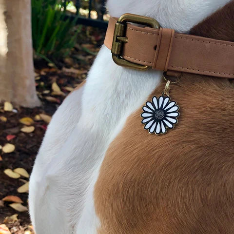 Pet ID Tag - White Daisy