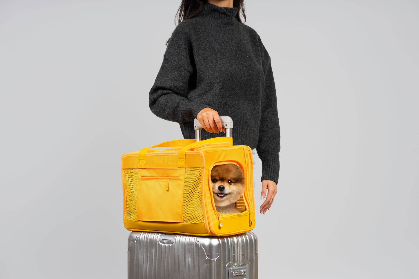 Sunburst Yellow Pet Travel Carrier