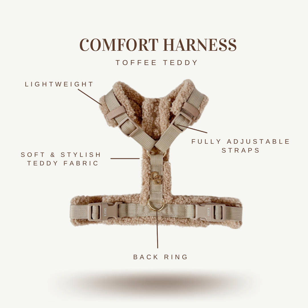 COMFORT HARNESS - TOFFEE TEDDY