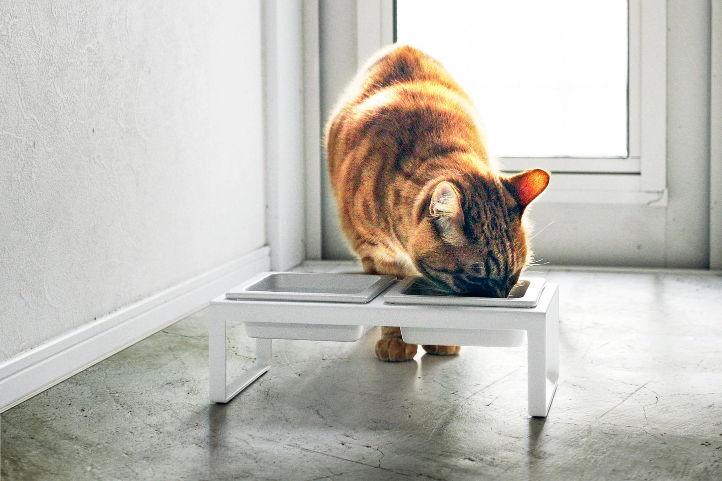 Double Pet Bowl - Tall