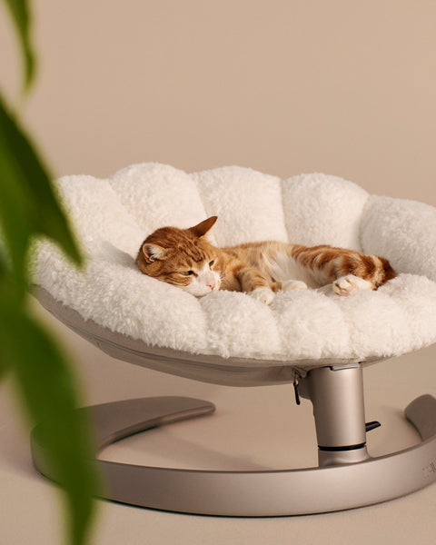 TAVO - Shell Pet Bed And Swaying Lounger in Latte