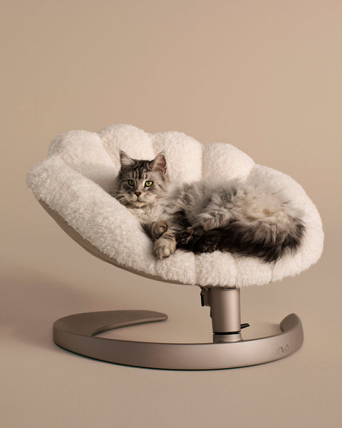 TAVO - Shell Pet Bed And Swaying Lounger in Latte