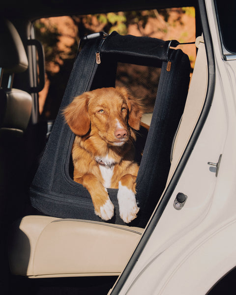 TAVO - Crispin Crash-Tested Pet Travel Crate