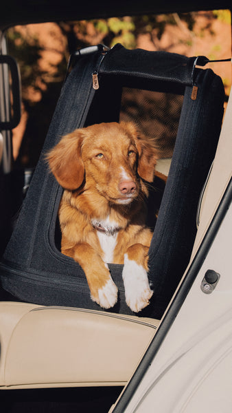 TAVO - Crispin Crash-Tested Pet Travel Crate