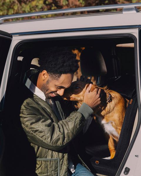 TAVO - Crispin Crash-Tested Pet Travel Crate