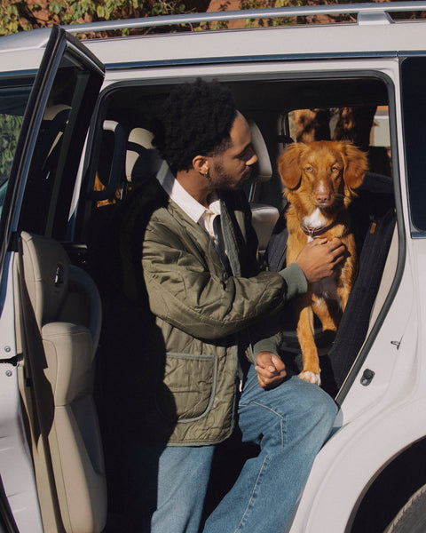 TAVO - Crispin Crash-Tested Pet Travel Crate